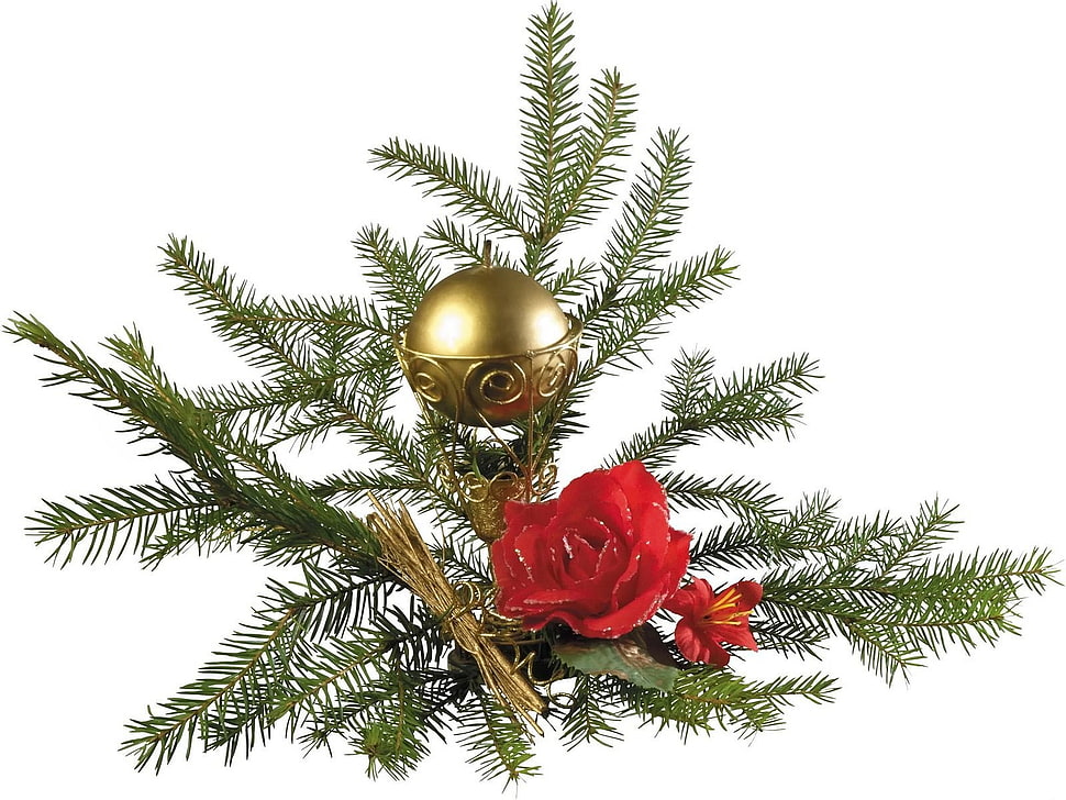 gold bauble on green christmas tree branch HD wallpaper