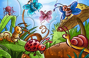 caterpillars and butterflies illustration HD wallpaper