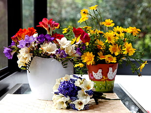 red, yellow, and white petaled flowers in white and red pots