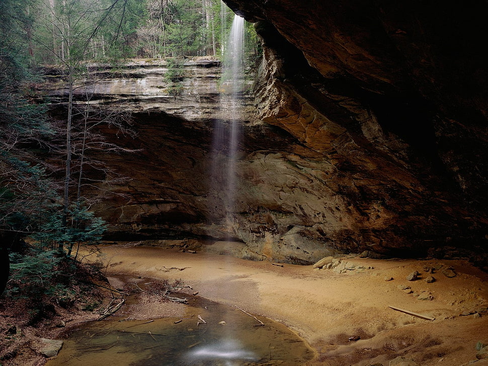 brown cave in forest HD wallpaper