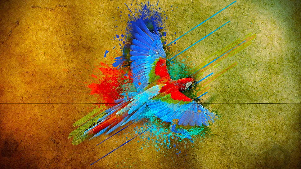blue and red floral wreath, parrot, birds, colorful, flying HD wallpaper