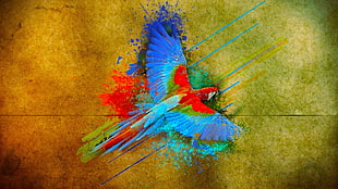 blue and red floral wreath, parrot, birds, colorful, flying