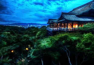 full moon painting, nature, landscape, temple, Kyoto