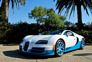 white and blue Bugatti Chiron parked near green leaved trees during daytime HD wallpaper