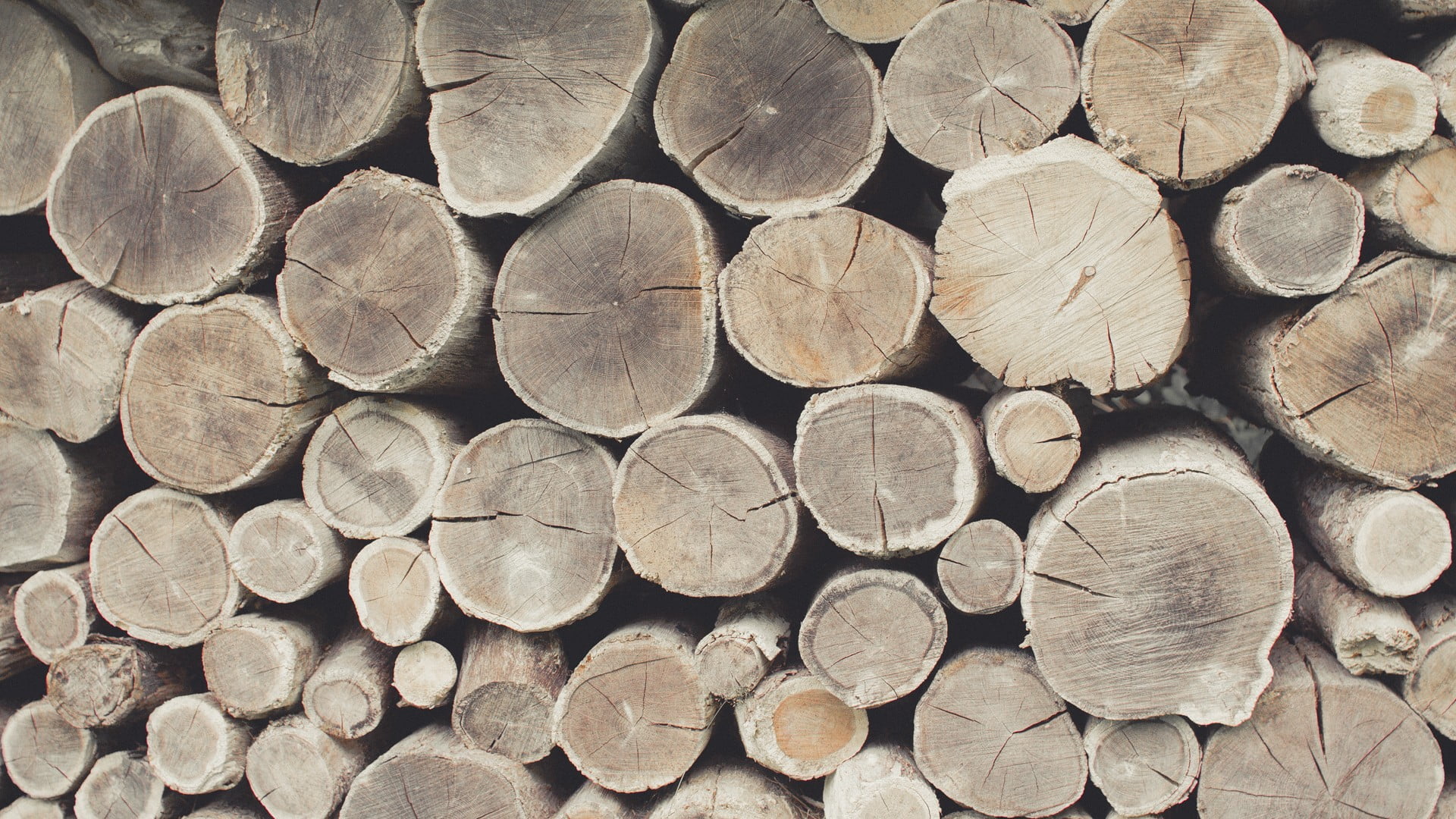 brown cut logs, simple background, KTM