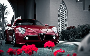 red Alpha Romeo car, car, Alfa Romeo