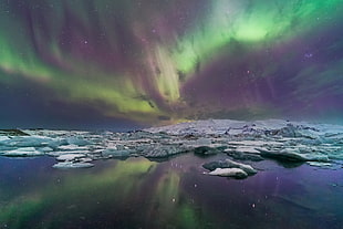 photography of the Northern Lights HD wallpaper