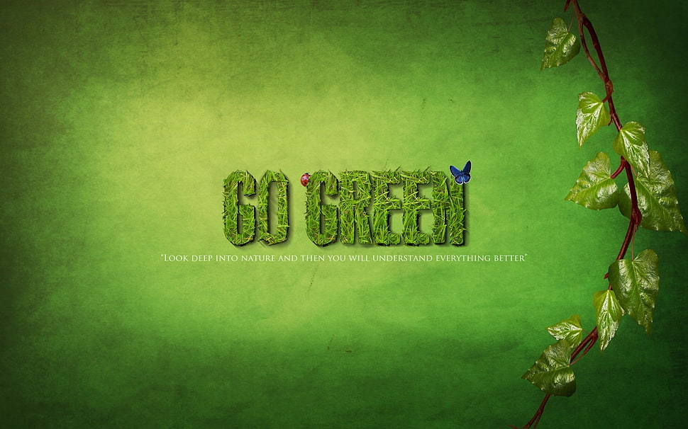 Go Green ads., green HD wallpaper
