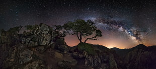 mountain under starry sky, nature, landscape, mountains, trees