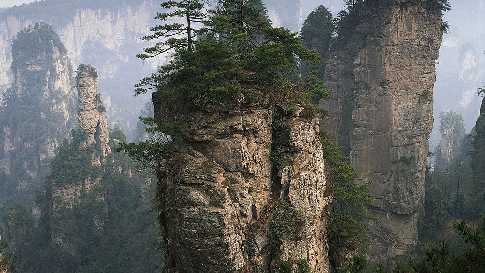 mountain, landscape, nature, rock, trees HD wallpaper