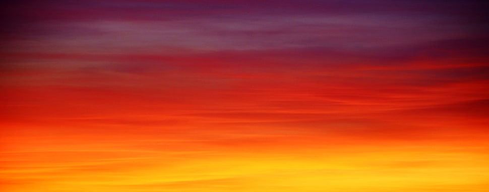 red and yellow artwork HD wallpaper