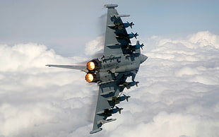 gray fighter jet, aircraft, Eurofighter Typhoon