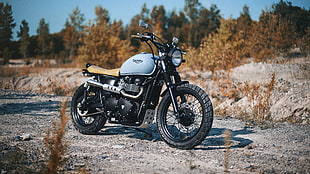 gray and black cruiser motorcycle near brown plants