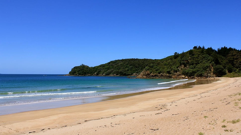 seashore, coast HD wallpaper