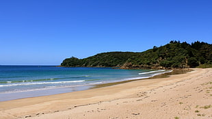 seashore, coast