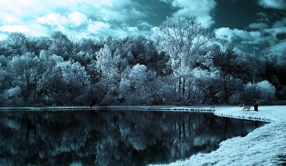 snowfield trees and river long exposure photography HD wallpaper