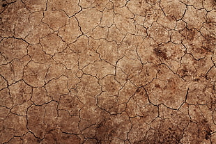 desert, dirt, dry , environment HD wallpaper