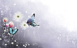 painting of butterflies, butterfly HD wallpaper