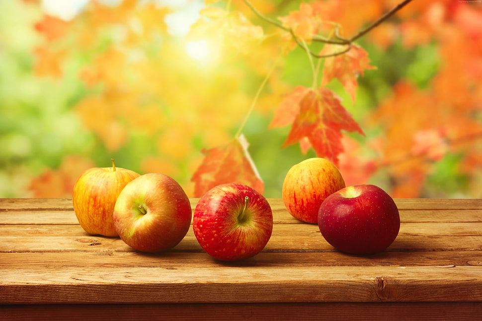 selective focus photo of red apples HD wallpaper