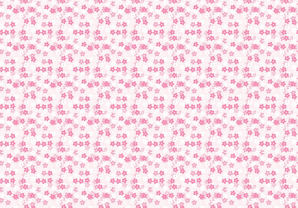 pink flower illustration HD wallpaper