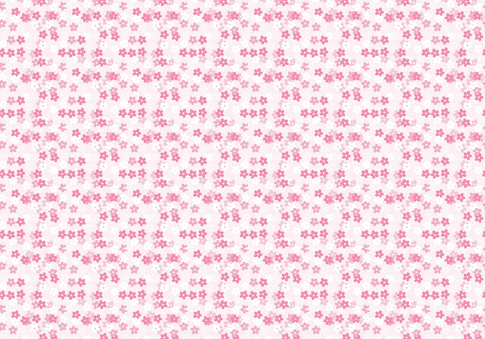 pink flower illustration HD wallpaper