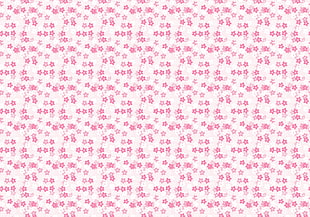 pink flower illustration