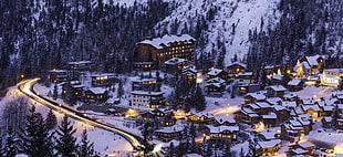 village covered with snow and trees at night