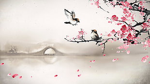 white and black bird and white bird, artwork HD wallpaper