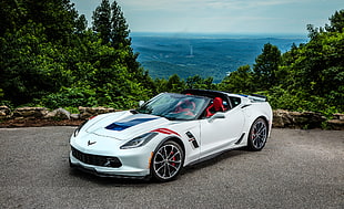 white and black Chevrolet Corvette C7 with ocean background