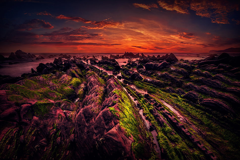 red and green abstract painting, sunset, sky HD wallpaper