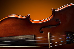 brown violin, violin, musical instrument HD wallpaper