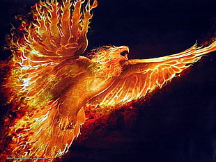 Phoenix illustration, fire, phoenix, birds
