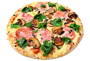 photo of pizza with mushroom HD wallpaper