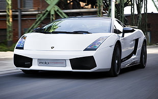 white Lamborghini Gallardo HD wallpaper