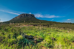 green grass field and mountain under blue and white sky