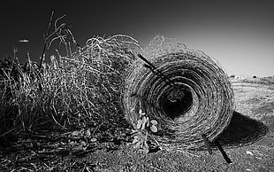 grayscale photo of rolled barb wire