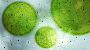 bacteria microscopic photo HD wallpaper
