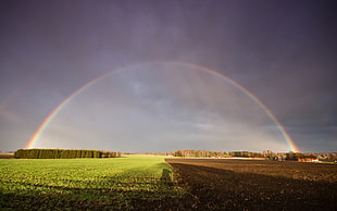 green grass field with rainbow landscape photo