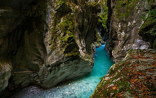 river and rock formation, landscape, nature, canyon, river