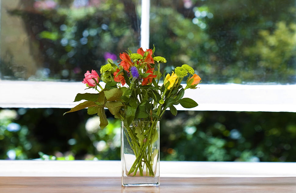 shallow focus photography of flower arrangement in clear glass vase HD wallpaper