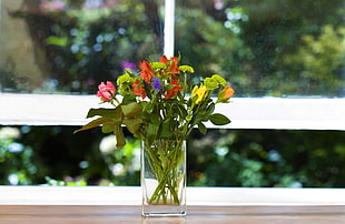 shallow focus photography of flower arrangement in clear glass vase