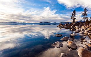 rock shore beside body of calm water during daytime photo HD wallpaper