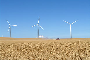 three Windmill on brown field HD wallpaper