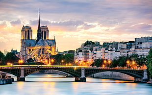 brown and gray concrete bridge, cityscape, cathedral, Notre-dame, France