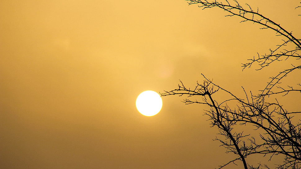 Photography of Sun during daytime HD wallpaper