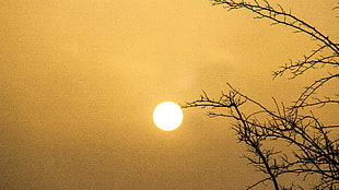 Photography of Sun during daytime