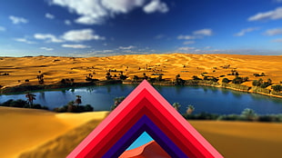 tilt-and-shift photography of oasis on desert