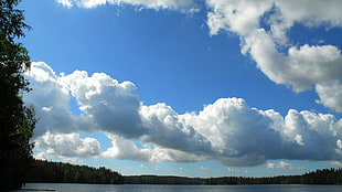 cumulus cloud, landscape