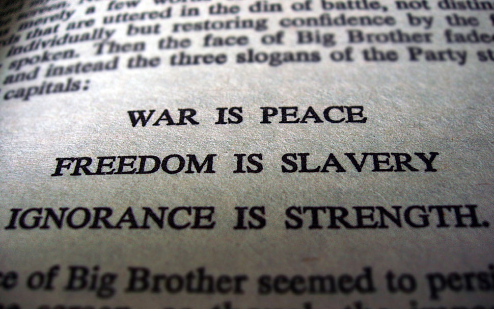 white printer paper, quote, closeup HD wallpaper