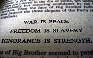 white printer paper, quote, closeup
